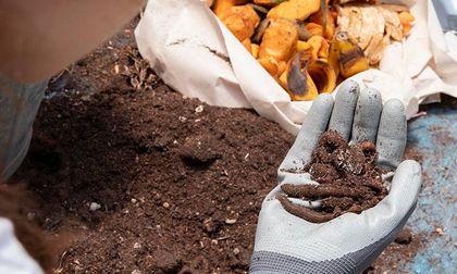 El compostaje como alternativa para disminuir el calentamiento global