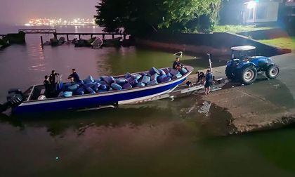 Incautan cerca de tres toneladas de marihuanas