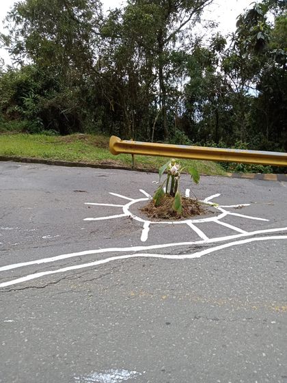 Imagen de Comenzó rehabilitación de la vía a Santa Elena; no le metían dinero hace 11 años