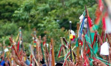 Denuncian 52 casos de menores reclutados en Cauca