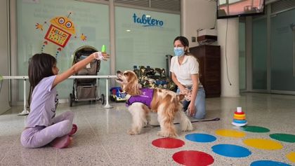 Imagen de  De la unidad de quemados a la esperanza: terapias con perros transforman la recuperación