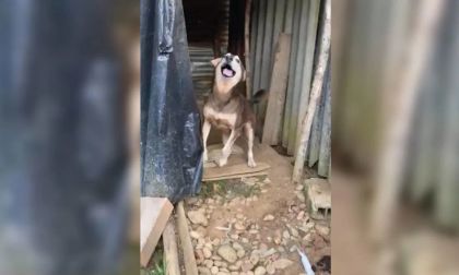 Imagen de  Albergue municipal de San Rafael vuelve a ser objeto de denuncias por mal estado