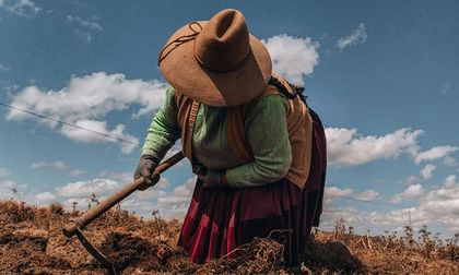 Regenerar para vivir mejor: salud, alimentación y estilo de vida