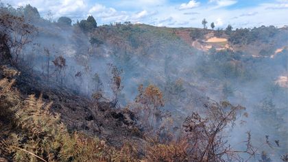 Imagen de  Incendio de grandes proporciones azota bosques en San Vicente Ferrer