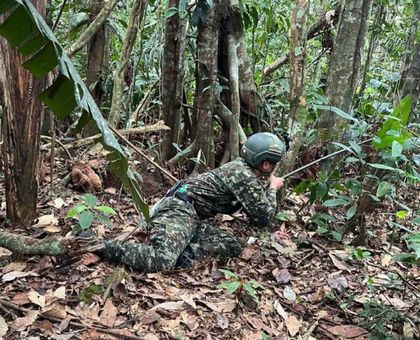 Imagen de  ¡Atención! Al menos ocho miembros de las disidencias mueren en un bombardeo militar