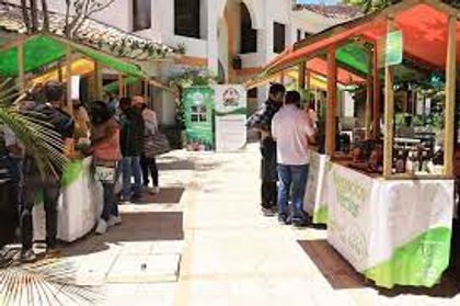 Imagen de  Con la entrega de nuevos puntos de venta en San Vicente y Alejandría se fortalecen los mercados locales en el Oriente