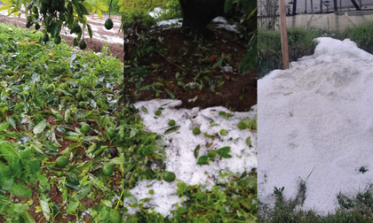 Imagen de Más de 300 cultivos de Marinilla se vieron afectados por las fuertes lluvias