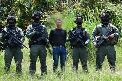 Imagen de  Capturaron en Anorí al que sería el explosivista más peligroso del frente 36 de las disidencias en Antioquia