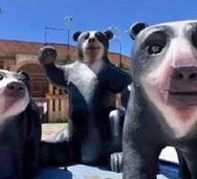 Municipio de Colombia reemplazó estatua de torero por la de osos andinos