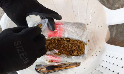 Más de cinco toneladas de marihuana incautadas en el Pacífico