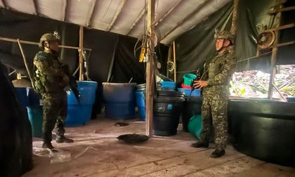 Golpe a estructuras del narcotráfico en Nariño y Norte de Santander