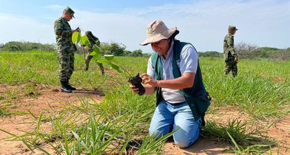 Imagen de  Programa PSA de Masbosques: modelo de conservación ambiental en Colombia