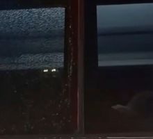 Usuarios piden mayor seguridad en la vía Panamericana tras ataque a bus en Rosas