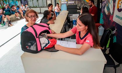 El centro de protección animal de Cali opera día y noche con atención médica, adopciones y rescates permanentes
