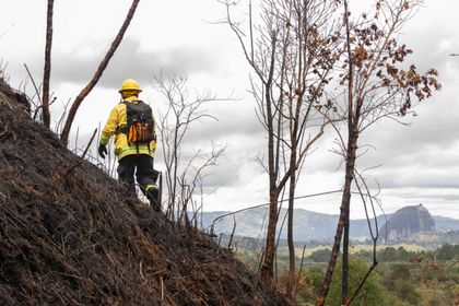 Imagen de  Cornare activa planes de contingencia ante la inminente llegada del fenómeno de El Niño