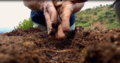 La Escuela Agroecológica de El Carmen que también funciona en internet