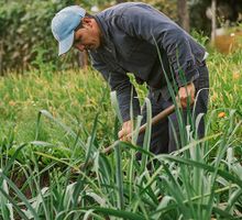 El 2025 fue el mejor año para la generación de empleo rural