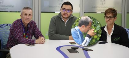 Imagen de  Antioquia lucha contra la propagación del “dragón de los cítricos”; lo han detectado en tres subregiones