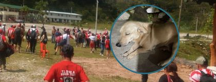 Imagen de Saqueos y balacera: así fueron los minutos de terror en un balneario de San Luis