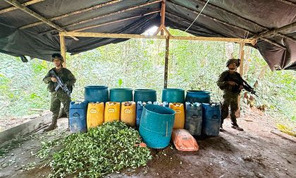 Destruyen 35 laboratorios ilícitos en el Pacífico