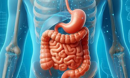 ¿Cómo generar un tránsito intestinal saludable? Estrategias de fibras solubles e insolubles