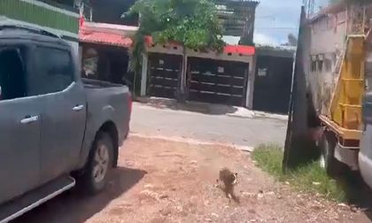Terremoto en Chiapas de magnitud 7.4: qué se sabe de la alerta de tsunami, las réplicas y el reporte oficial