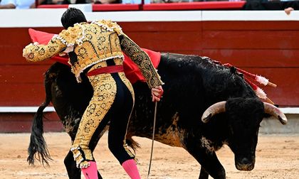 La persecución de los animalistas a la cultura y el sustento rural