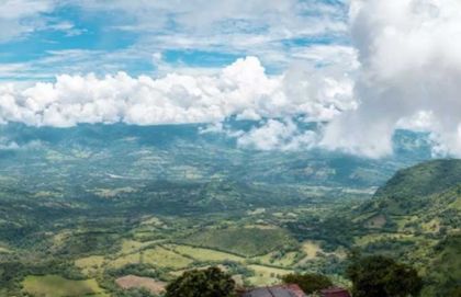 Imagen de  Procuraduría exige participación en proyecto de reserva ambiental en el Suroeste antioqueño