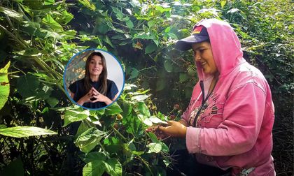 Imagen de  El Oriente Antioqueño tiene 7.517 mujeres empresarias