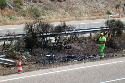 Imagen de Revelan posibles causas del accidente Diogo Jota y su hermano