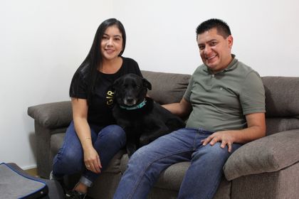 Imagen de  Adoptaron a Jacob, perrito que perdió una de sus patas tras ser atropellado y abandonado