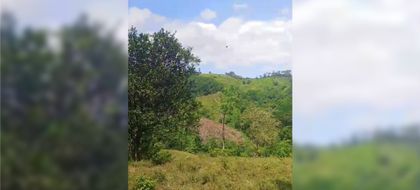 Imagen de  Ataque a helicóptero en Amalfi se atribuye al frente 36 de las disidencias Farc