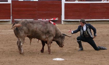 Contratados cuatro encierros