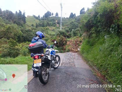 Imagen de  Lluvias en Medellín dejaron caída de árboles y postes, y afectaciones en la movilidad