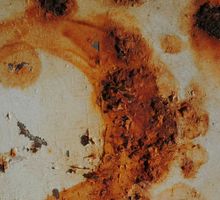 Día Mundial de la Tuberculosis: España registra un aumento del 8.3%