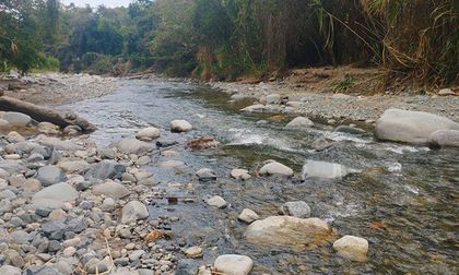 Investigan mortandad de peces en Buga