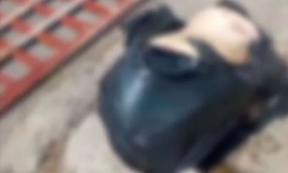 ¿Ritual de brujería en Cali?: encuentran cabra sin cabeza en bolsa de basura