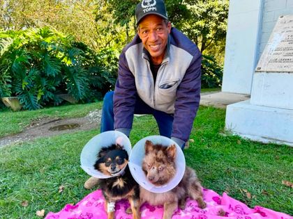 Imagen de  Jornada de bienestar animal en La Ceja dejó 89 perros y gatos esterilizados de manera gratuita