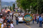 Imagen de Abren inscripciones para el Desfile de Silleteros, Silleteritos y Bicicletas en Flor en La Ceja