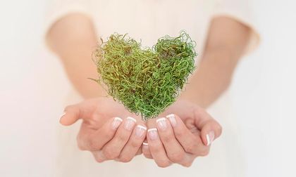 ¿Cómo los efectos del cambio climático inciden en nuestra salud?