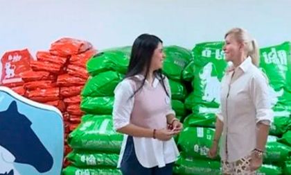 Apoyo a los seres sintientes del Valle