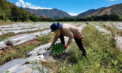 Instan al agro del Valle a optimizar uso del agua