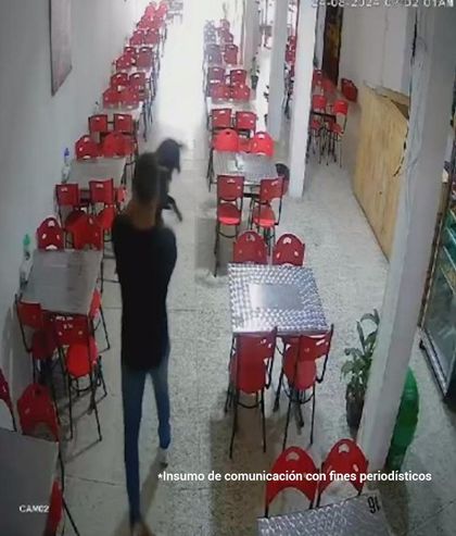 Imagen de Tres nuevas condenas por maltrato animal en Antioquia, Tolima y Norte de Santander