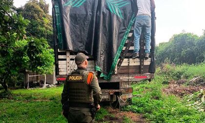 Activan en Cali el ‘Plan Distrito Más Verde’ para proteger la fauna y flora silvestre en diciembre