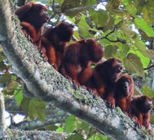 Reserva de Yotoco, santuario de biodiversidad