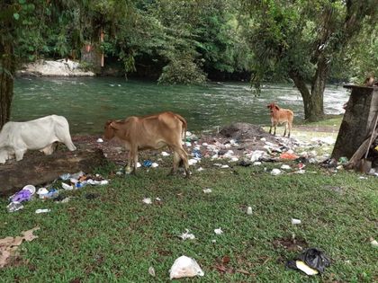 Comunidades del Oriente se están cansando de las basuras que dejan los turistas