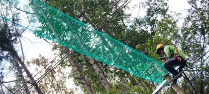 Imagen de El Retiro instaló pasos de fauna silvestre para cuidar a los perezosos, zarigüeyas, zorros y otras especies