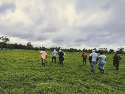 Imagen de  ¿Las víctimas del conflicto pueden retornar al Oriente? 70 % de las más de 6 800 solicitudes de restitución de tierras no han sido resueltas 
