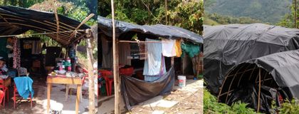 Imagen de Familia desplazada de Cocorná busca apoyo para reconstruir su vivienda