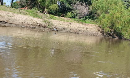 El río Cauca, entre los más afectados por disminución de caudales